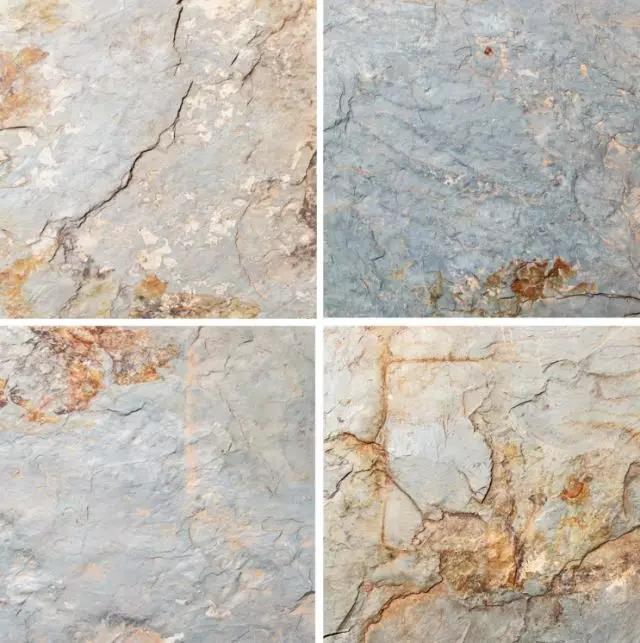 【新品速遞】大理石瓷磚 | 方寸之間現(xiàn)真章